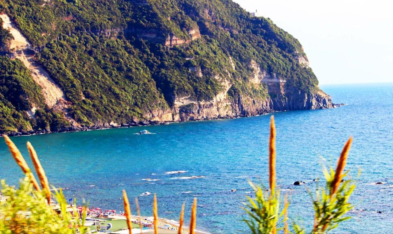 Appartamenti Baia Di Citara Forio di Ischia Екстериор снимка